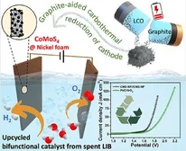 Graphical abstract