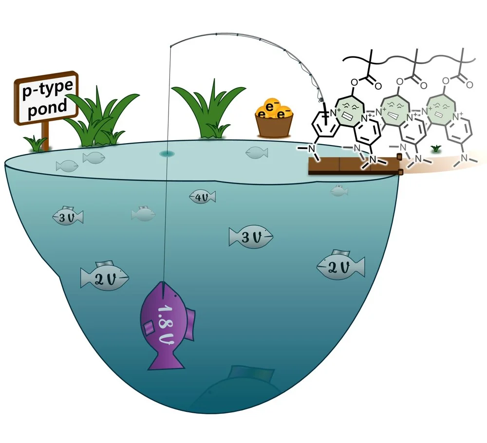 Illustration of a p-type pond with fish labelled by potential and a polymer catching the 1.8 volt one